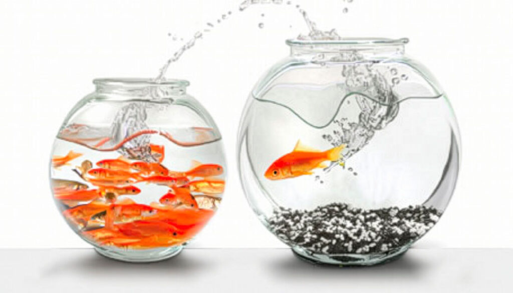 follow-crowd-5-curatti Conventional Clichés