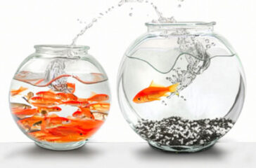 Conventional Clichés