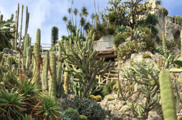 Le Jardin Exotique de Monaco- Not a good place to fall