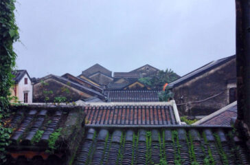 up-on-the-roof