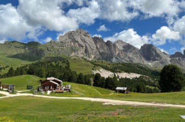 IMG_0351 IMG_0351