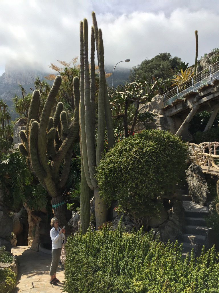 Le-Jardin-Exotique-de-Monaco