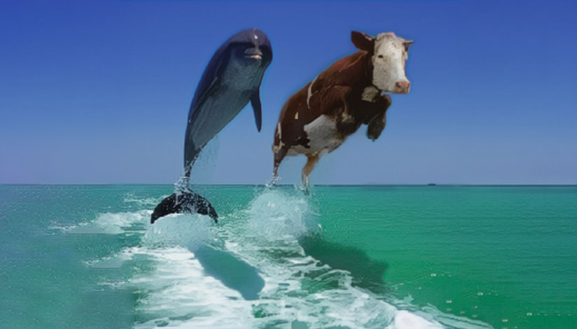 follow-crowd-3-www.middletownbiblechurch follow-crowd-3-www.middletownbiblechurch