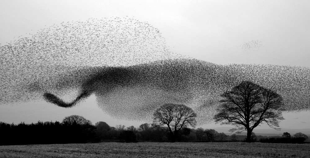 follow-crowd-7-projectm-online.com_ follow-crowd-7-projectm-online.com_