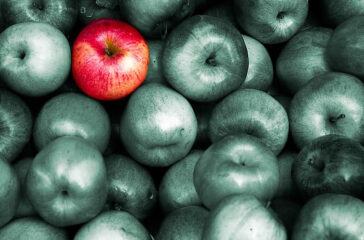 the-good-client-good-apple the-good-client-good-apple
