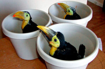 I tre contenitori della salvezza