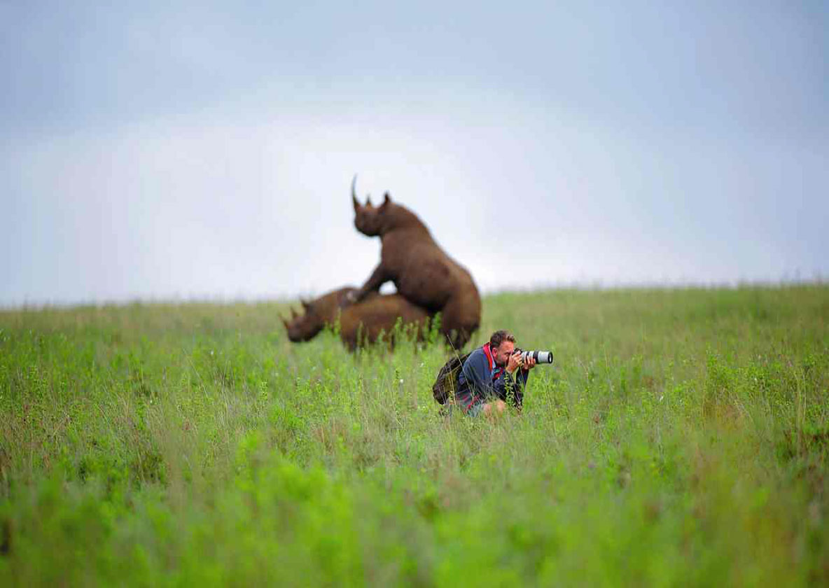 man-with-copulating-rinos